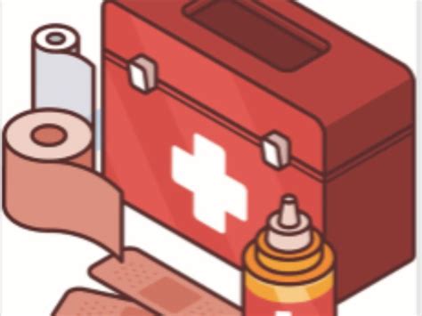 What do you keep in a first aid box? | 10 સપ્ટેમ્બર વર્લ્ડ ફર્સ્ટ એડ ડે ...