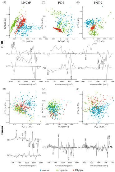 IJMS | Special Issue : Vibrational Spectroscopy Methods to Investigate ...
