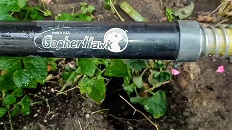 Image result for How to Use Gopherhawk