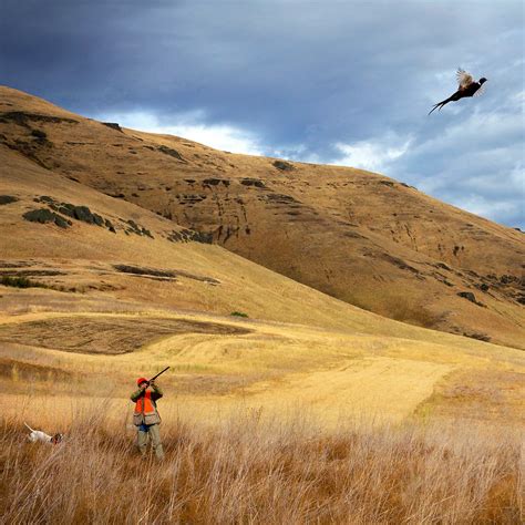 Flying B Ranch Wingshooting Lodge in Idaho | Orvis