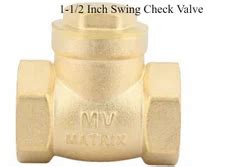 Swing Check Valve - 1-1/4 Inch Swing Check Valve Manufacturer from Tauru