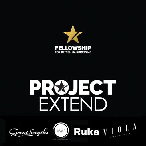 Image result for Project Extend On PC