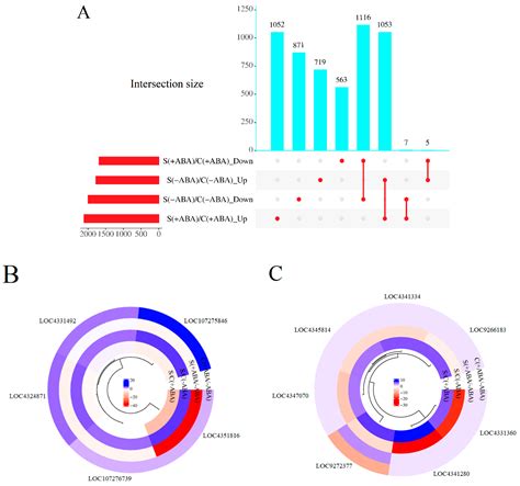 Effect of ABA Pre-Treatment on Rice Plant Transcriptome Response to ...
