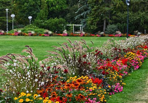 20 Design a Flower Garden Ideas To Try This Year | SharonSable