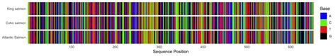 Image result for DNA Barcoding Flow Chart