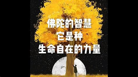 智慧 的图像结果