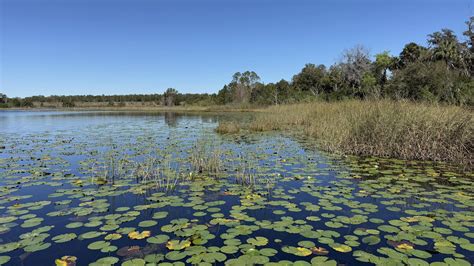Sawgrass Lake Park - Florida Hikes