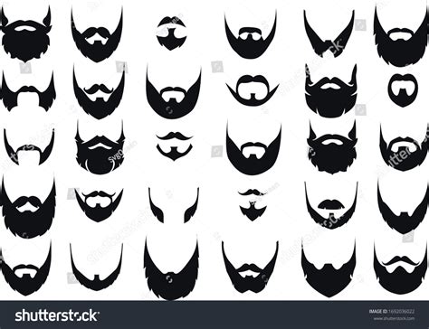 Different Types Of Beard Hair Texture at Jessica Zelman blog