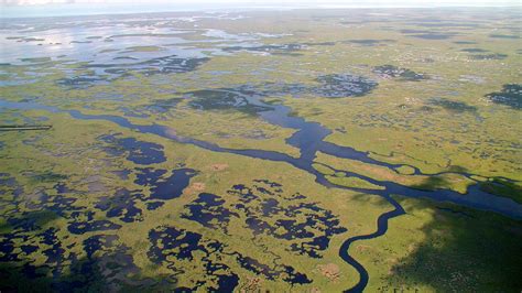 In Ohio, Learning the Importance of Wetlands and the Great Black Swamp