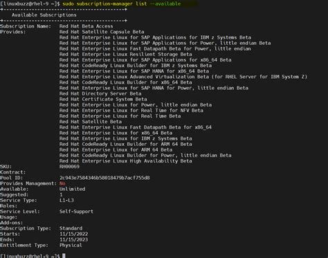 Shell Script in RHEL 9 的图像结果