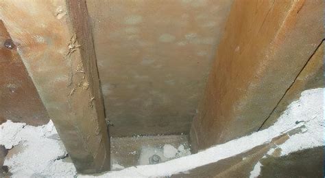 How to Treat Mold Inside Walls | Rytech Restoration