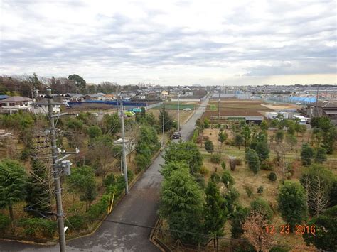 ICHIKAWA CITY ARCHAEOLOGICAL MUSEUM (2025) All You Need to Know BEFORE ...