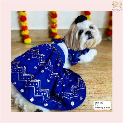 Blue Dog Lehenga Choli – Wrapinfur