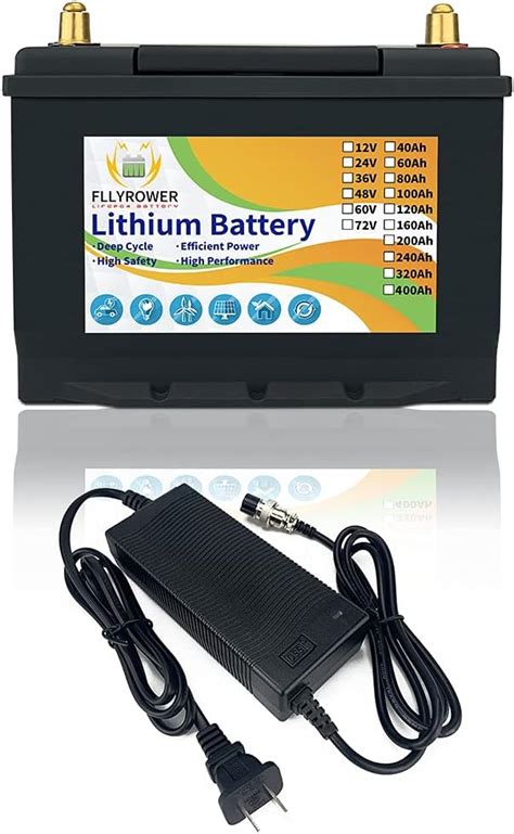 FLLYROWER 12v 40Ah LifePo4 Battery Deep Cycles with BMS India | Ubuy