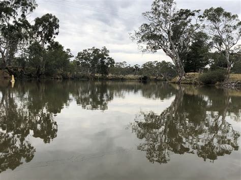 RIVERSIDE HOST FARM (Dimboola) - Lodge Reviews & Photos - Tripadvisor