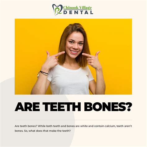 Calcium In Bones And Teeth