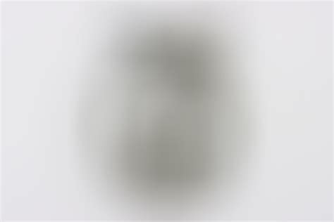 ratisbon's | Luftwaffe Flak Badge "S&L" | DISCOVER GENUINE MILITARIA ...