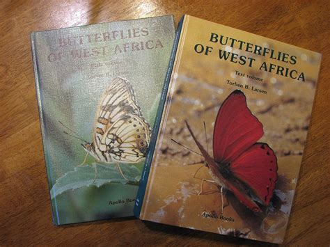 Buy Butterflies Of West Africa Book Online at Low Prices in India ...