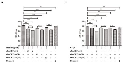 Echinococcus multilocularis Calreticulin Inhibits Lectin Pathway of ...