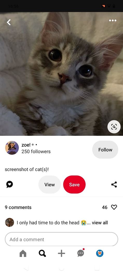 Baixar Pinterest 14.5 Android - Download APK Grátis