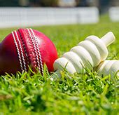 Pune Institute of Cricket