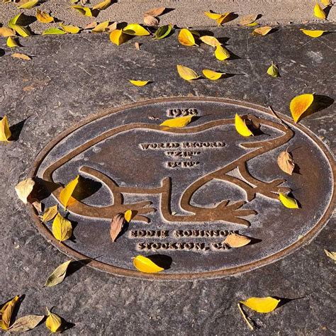 Calaveras County Fair & Jumping Frog Jubilee (aka Frog Jump) ~ CVB ...