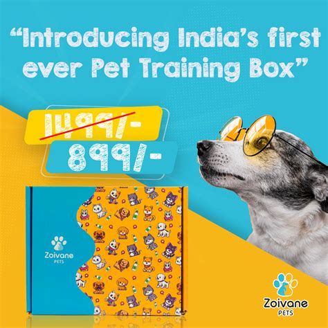 Pet Training Box I Zoivane Pets