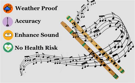 Blue Panther Indian Bamboo Flute Bansuri, Set of 2, Fipple & Transverse ...