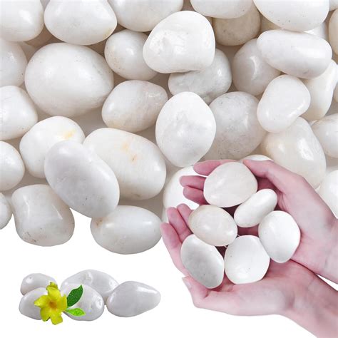 Amazon.com: Lechloris 10Ib White River Rocks for Landscaping- High ...