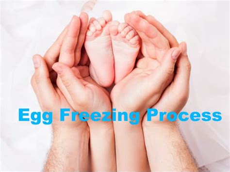 Image result for Egg Freezing Process