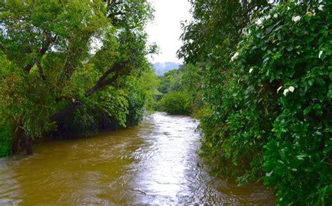 Coorg River Rafting: Your Ultimate Adventure Awaits!