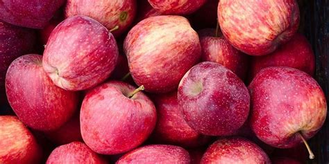 InnoFarms, SNL Innovations Pvt Ltd | Small Scale Aseptic Processing