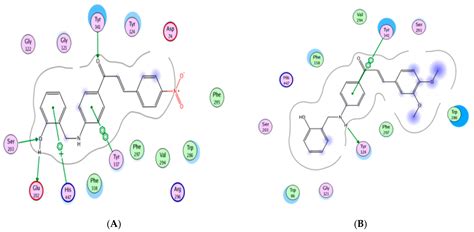 Synthesis of Novel Chalcones as Acetylcholinesterase Inhibitors