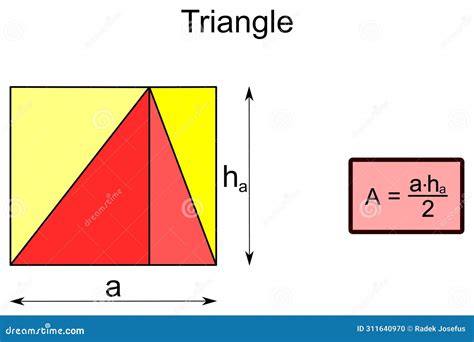 Triangle - Equation for Area and Graphical Derivation Stock Vector - Illustration of diagram ...