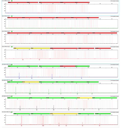 Electropherogram Interpretation 的图像结果