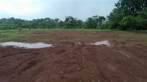 80 Guntha Agricultural/Farm Land for Sale in Murbad, Thane - by Shree ...