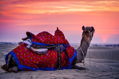 Now, travel to Jaisalmer from Delhi via flight | Times of India Travel