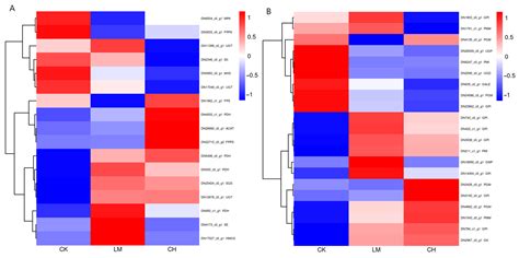 Transcriptome Analysis of Ganoderma lingzhi Liquid Fermentation Process ...