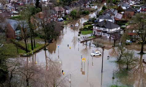 In 2025, let's make it game on – not game over – for our precious ...