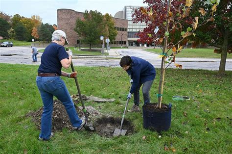 Clarendon Hills Cemetery Tree Planting, 6900 S Cass Ave, Darien, 8 May ...