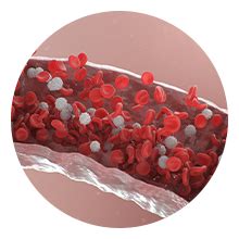 Wellbeing Nutrition Melts Nano Iron | Plant Based Iron, Beetroot, Swiss ...