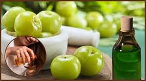 Hair Care: To prevent hair fall, make special gooseberry oil at home ...