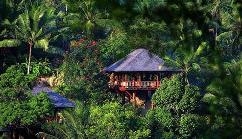 5 Eco-Friendly Places To Visit in India - lifeberrys.com