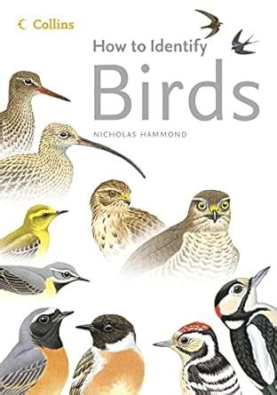 Birds (How to Identify) : Hammond, Nicholas, Webb, Michael: Amazon.in ...