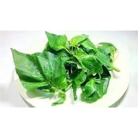 1000 Arai Keerai Seeds, Amaranth Vegetable Seeds, India | Ubuy