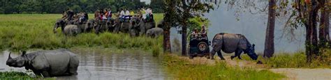 Wildlife Safari in Kaziranga National Park, Kaziranga Wildlife Safari