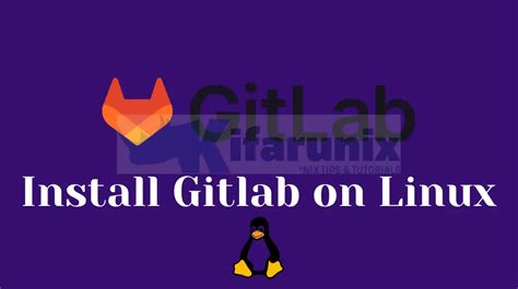 Install GitLab for Windows 的图像结果