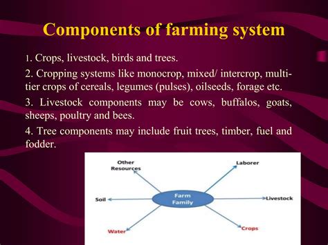 Intro to Farming Systems 的图像结果
