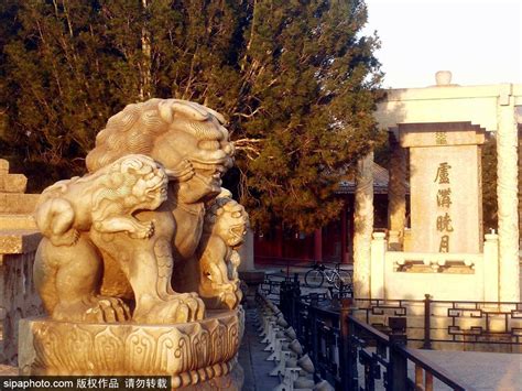 唐代是中华石狮雕刻艺术的巅峰时期——唐代汉白玉石狮_气势