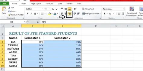 Image result for +Xcel Cell Formatting Using Various Formulas